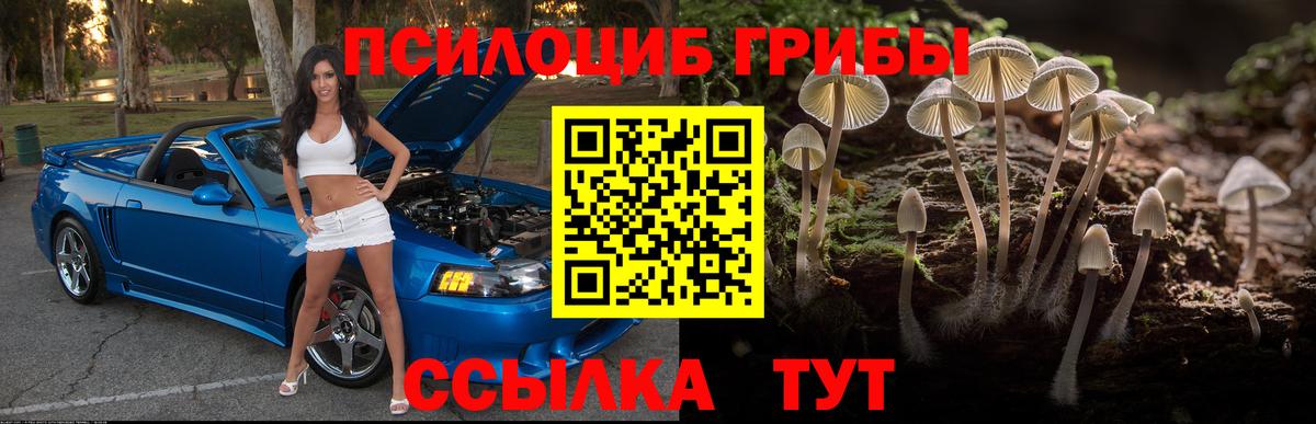 Галлюциногенные грибы мухоморы Красноярск